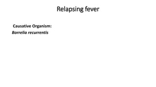 Relapsing fever
Causative Organism:
Borrelia recurrentis
 