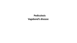 Pediculosis
Vagabond’s disease
 