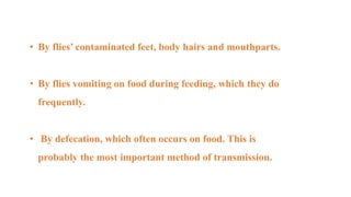 • By flies’ contaminated feet, body hairs and mouthparts.
• By flies vomiting on food during feeding, which they do
frequently.
• By defecation, which often occurs on food. This is
probably the most important method of transmission.
 