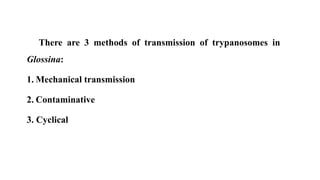 There are 3 methods of transmission of trypanosomes in
Glossina:
1. Mechanical transmission
2. Contaminative
3. Cyclical
 