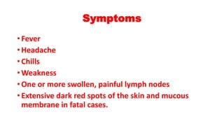 Symptoms
• Fever
• Headache
• Chills
• Weakness
• One or more swollen, painful lymph nodes
• Extensive dark red spots of the skin and mucous
membrane in fatal cases.
 