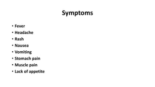 Symptoms
• Fever
• Headache
• Rash
• Nausea
• Vomiting
• Stomach pain
• Muscle pain
• Lack of appetite
 