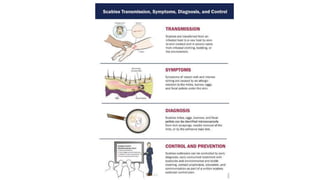 Medical Entomology Presentation.pptx