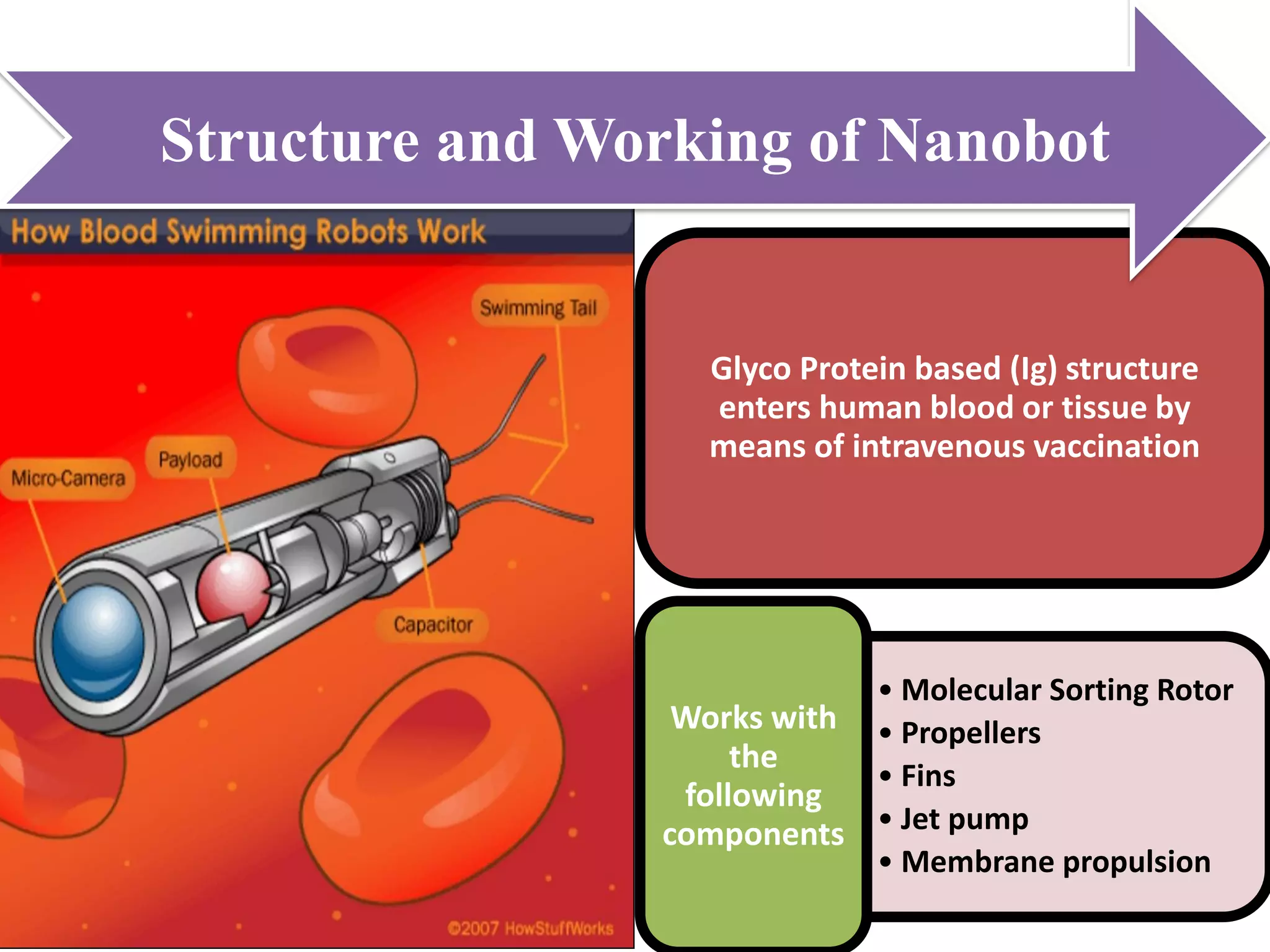 Glyco Protein based (Ig) structure enters human blood or tissue by means of intravenous vaccination 
•Molecular Sorting Rotor 
•Propellers 
•Fins 
•Jet pump 
•Membrane propulsion 
Works with the following components Structure and Working of Nanobot  