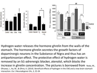 Hydrogen water releases the hormone ghrelin from the walls of the
stomach. The hormone ghrelin secretes the growth factors...