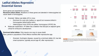 _ Medical Genetics Lecture New frontal.pptx
