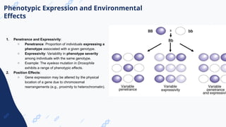 _ Medical Genetics Lecture New frontal.pptx