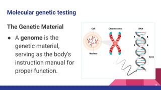 Genetic Testing Pdf Medical Genetics _ Molecular genetic testing_Dr. Fares_2025.pdf
