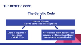 Codons Collections Medical Genetics _ PROTEIN SYNTHESIS (Translation of mRNA) _ Dr. Fares ...