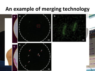 An example of merging technology 