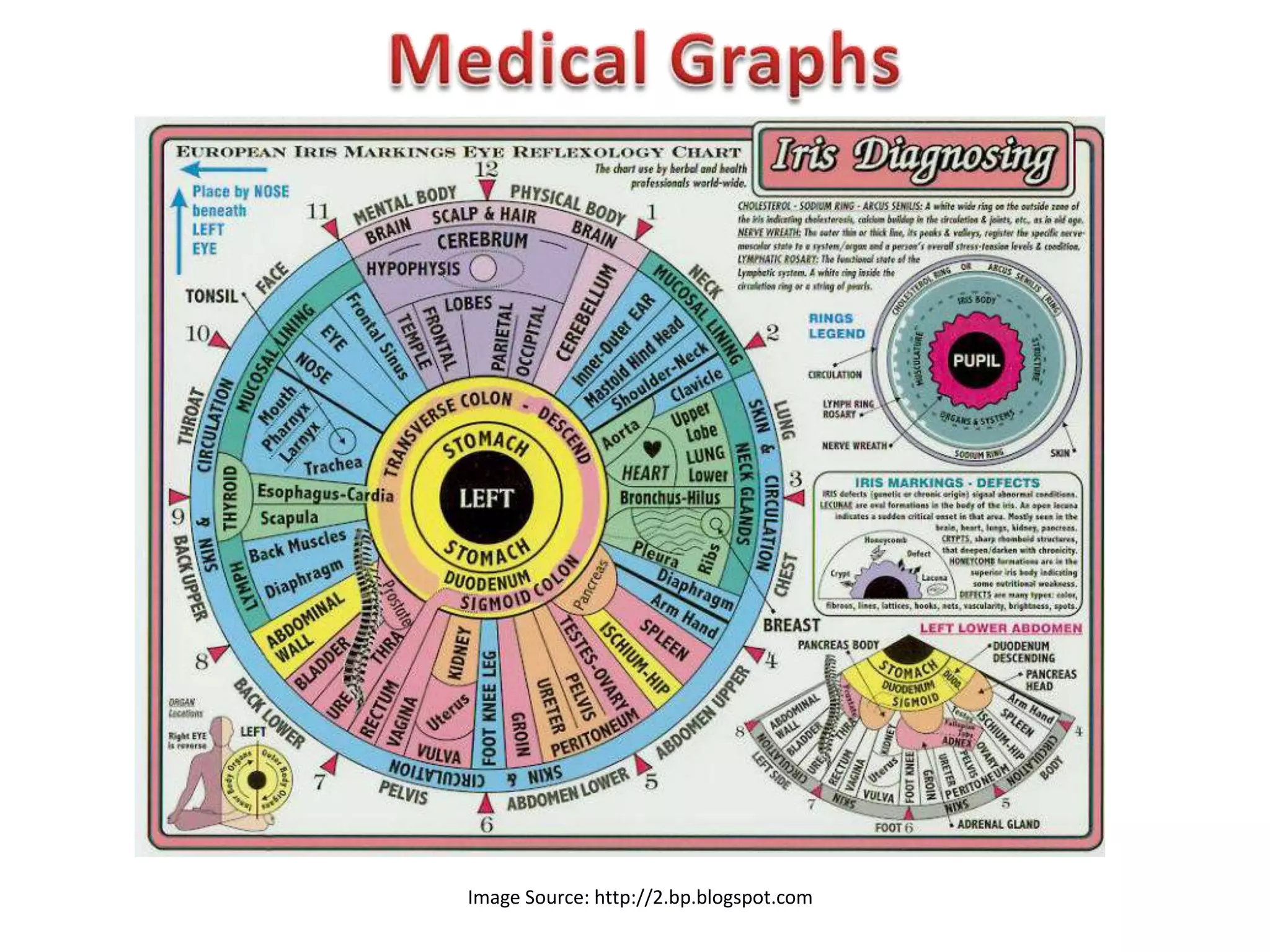 Reflexology Chart for the Feet.




        Image Source: http://2.bp.blogspot.com
 