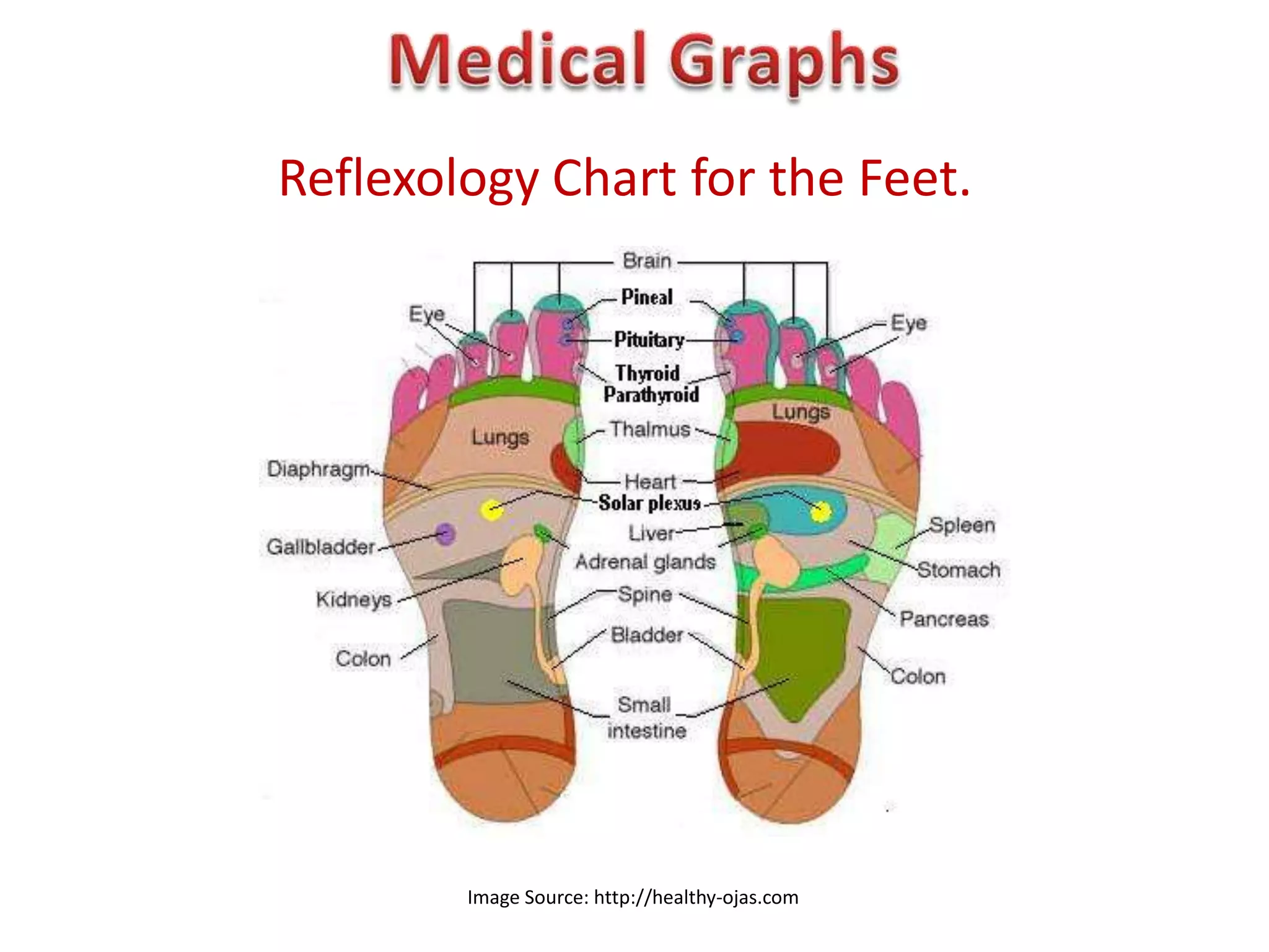 Reflexology Chart for the Feet.




        Image Source: http://healthy-ojas.com
 