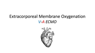 Medical Device Imaging Mastery Project #4: Extracorporeal Membrane Oxygenation