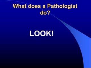What does a Pathologist
         do?


     LOOK!
 