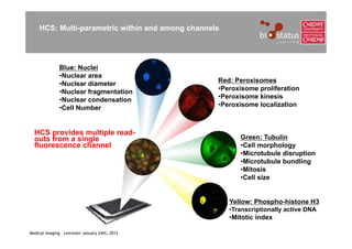 HCS: Multi-parametric within and among channels




               Blue: Nuclei
               •Nuclear area
               •Nuclear diameter                   Red: Peroxisomes
               •Nuclear fragmentation              •Peroxisome proliferation
               •Nuclear condensation               •Peroxisome kinesis
               •Cell Number                        •Peroxisome localization



  HCS provides multiple read-
  outs from a single                                      Green: Tubulin
  fluorescence channel                                    •Cell morphology
                                                          •Microtubule disruption
                                                          •Microtubule bundling
                                                          •Mitosis
                                                          •Cell size


                                                       Yellow: Phospho-histone H3
                                                       •Transcriptionally active DNA
                                                       •Mitotic index

Medical Imaging – Leicester January 24th, 2012
 