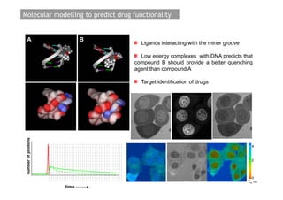 Molecular modelling to predict drug functionality


 A                          B
                                       Ligands interacting with the minor groove

                                      Low energy complexes with DNA predicts that
                                    compound B should provide a better quenching
                                    agent than compound A

                                       Target identification of drugs
 number of photons




                                                                                      m   ns
                     time
 