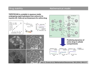Drug stability                                                                                                 Mathematical model

TOPOTECAN is unstable in aqueous media
                                                                                                                                                                                             ‘low’ loading cell
undergoing rapid hydrolysis from active (L) to
                                                                                                                                                                             Hc
inactive (H). Cells act as biosensors for active drug                                                                                                                                             kdh2
                                                                                                                               kmi
                                                                                                                                                                                      kcc2
                                                                                                                       Hm                        He                  koc2                       kdl2          Ln
 fluorescence intensity




                                                                                                                                     kmo                      ke2
                          100     TPTL              A
                                                                                    10                    C
                          80      TPTH                                                      active drug                  kcm                         kcm                                          kbBF(t)2
                                                                                                                                                                                 Lc
                                                                                                               kom                         kom
                          60                                                                                                                                   ki2
                                                                                         inactive drug                                                                                   ‘high’ loading cell
                          40                                                                                                   kmi
                                                                                                                                                                                 Hc
                          20                            B
                                                                                                at pH 7.4                                                                                          kdh1
                                                                                                                       Lm                        Le
                                                                                    00
                             0                                                       0    time (mins) 120                            kmo
                                                            L                   H                                                                                     koc1        kcc1
                              0 2 4 6 8 10                                                                                                                                                     kdl1
                                                                increasing pH                                                                                  ki1                                           Ln
                           concentration TPT (µM)                                                                                                                                                            Ln
                                                                                                                                                      ke1
                                                                                                              medium                                                             Lc                kbBF(t)1




                                                                                                                                                                        Predicting dynamics of
                                                                                                                                                                        active drug in cellular
                                                                                                                                                                        compartments
                                                                                                                                                      0


                                                                                                                                                                                                                   lactone
                                                                                                               Topotecan in the                 Topotecan in the     Topotecan in the                              hydroxy-acid
                                                                                                              15        medium               15         cytoplasm 15           nucleus
                                                                                                              10                             10                   10
                                                                                                              5                               5                    5
                                                                                                              0                              0                               0
                                                                                                                   0   1200 2400 3600            0        1200 2400 3600          0          1200 2400 3600
                                                                                                                         time                               time                                time




                                                                                              Neil D. Evans et al, Mathematical Biosciences 189 (2004) 185-217
 