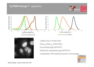 CyTRAK Orange™ - segments ..



                           100.0
Relative fluorescence intensity




                                                                                                                                            100.0




                                                                                                          Relative fluorescence intensity
                                  80.0
                                                                                                                                            80.0



                                  60.0                                                                                                      60.0



                                  40.0                                                                                                      40.0



                                  20.0                                                                                                      20.0



                                  0.0                                                                                                         0.0
                                                                                                                                                400   500        600               700         800   900
                                         300   400       500                 600         700        800

                                                     Excitation wavelength (nm)                                                                             Emission wavelength (nm)

                                                          FITC    CyTRAK Orange    APC                                                                        FITC     CyTRAK Orange     Cy7




                                                                                               •Labels live or fixed cells
                                                                                               •Exλmax/Emλmax 510/610nm
                                                                                               •Co-excited with GFP/FITC
                                                                                               •Detection separated from GFP/FITC
                                                                                               •Compatible with epifluorescence microscopes



Medical Imaging – Leicester January 24th, 2012
 