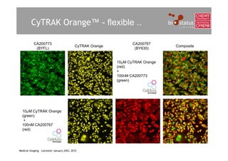 CyTRAK Orange™ - flexible ..

           CA200773                                                CA200767
                                            CyTRAK Orange                        Composite
            (BYFL)                                                  (BY630)


                                                            10M CyTRAK Orange
                                                            (red)
                                                            +
                                                            100nM CA200773
                                                            (green)




  10M CyTRAK Orange
  (green)
   +
  100nM CA200767
  (red)




Medical Imaging – Leicester January 24th, 2012
 
