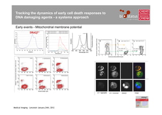 Tracking the dynamics of early cell death responses to
  DNA damaging agents - a systems approach

  Early events - Mitochondrial membrane potential
                  DRAQ7™




Medical Imaging – Leicester January 24th, 2012
 