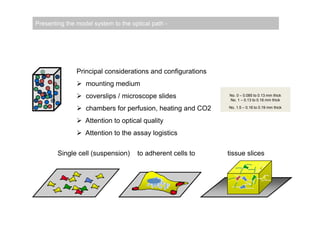 Presenting the model system to the optical path -




               Principal considerations and configurations
                mounting medium
                coverslips / microscope slides              No. 0 – 0.085 to 0.13 mm thick
                                                             No. 1 – 0.13 to 0.16 mm thick

                chambers for perfusion, heating and CO2     No. 1.5 – 0.16 to 0.19 mm thick


                Attention to optical quality
                Attention to the assay logistics

        Single cell (suspension)     to adherent cells to    tissue slices
 
