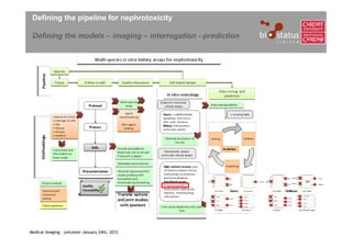 Defining the pipeline for nephrotoxicity

 Defining the models – imaging – interrogation - prediction




Medical Imaging – Leicester January 24th, 2012
 