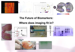 PCA cytokine norm




Driving Innovation




                     The Future of Biomarkers:
                     Where does imaging fit in?
 