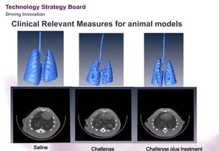 Driving Innovation

  Clinical Relevant Measures for animal models




            Saline    Challenge     Challenge plus treatment
 