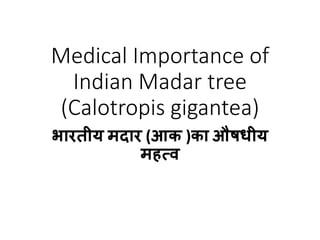 Medical Importance of
Indian Madar tree
(Calotropis gigantea)
भारतीय मदार (आक )का औषधीय
महत्व
 