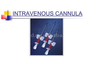 INTRAVENOUS CANNULA
 