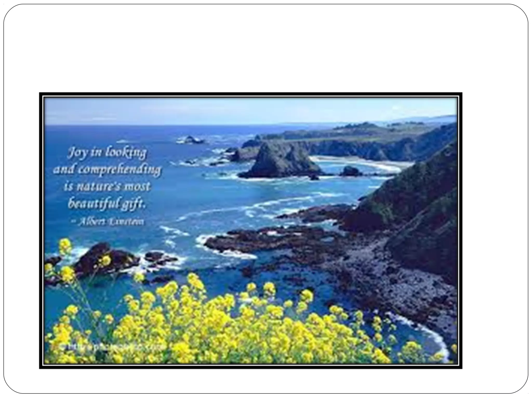 Medical Laboratory Sciences