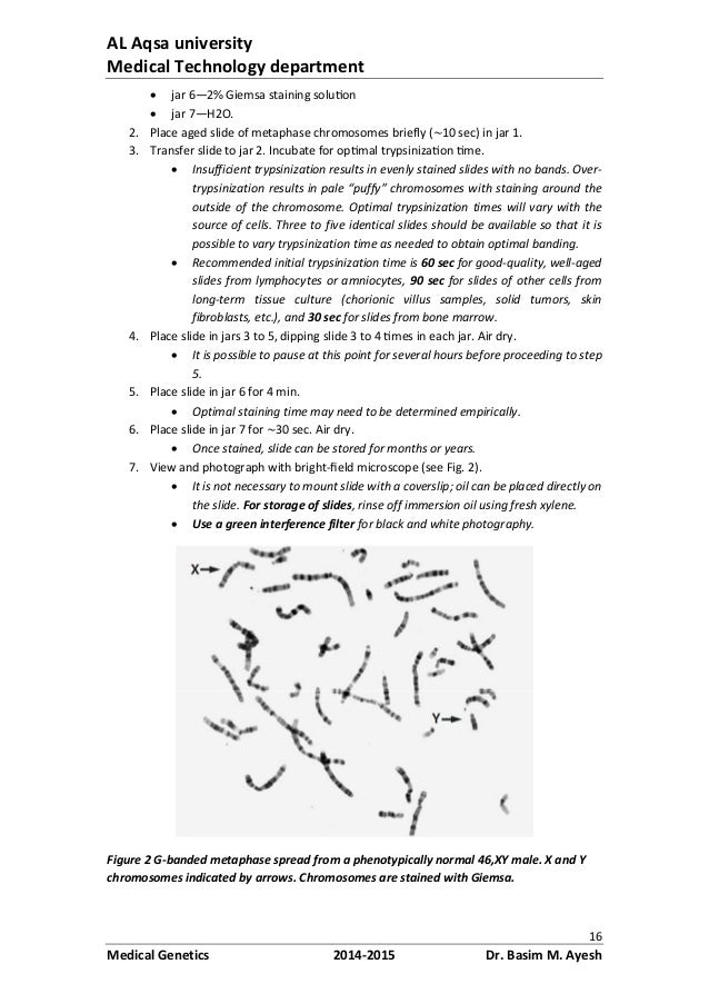 Genetics Symbiosis Lab Manual Solutions Genetics Symbiosis Lab Manual Solutions