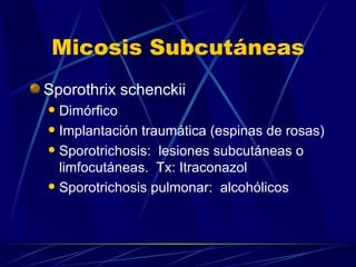 Micosis Subcutáneas Sporothrix schenckii Dimórfico Implantación traumática (espinas de rosas) Sporotrichosis:  lesiones subcutáneas o limfocutáneas.  Tx: Itraconazol Sporotrichosis pulmonar:  alcohólicos 