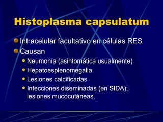 Histoplasma capsulatum Intracelular facultativo en células RES Causan  Neumonía (asintomática usualmente) Hepatoesplenomegalia Lesiones calcificadas Infecciones diseminadas (en SIDA);  lesiones mucocutáneas. 