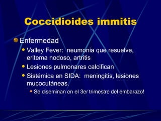 Coccidioides immitis Enfermedad Valley Fever:  neumonia que resuelve, eritema nodoso, artritis Lesiones pulmonares calcifican Sistémica en SIDA:  meningitis, lesiones mucocutáneas. Se diseminan en el 3er trimestre del embarazo! 