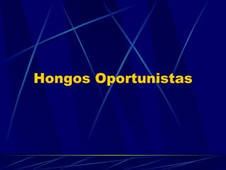Hongos Oportunistas 