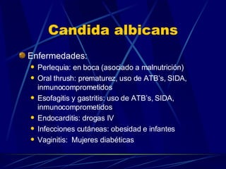 Candida albicans Enfermedades: Perlequia: en boca (asociado a malnutrición) Oral thrush: prematurez, uso de ATB’s, SIDA, inmunocomprometidos Esofagitis y gastritis: uso de ATB’s, SIDA, inmunocomprometidos Endocarditis: drogas IV Infecciones cutáneas: obesidad e infantes Vaginitis:  Mujeres diabéticas 