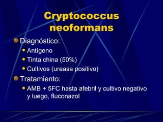 Cryptococcus neoformans Diagnóstico: Antígeno Tinta china (50%) Cultivos (ureasa positivo) Tratamiento: AMB + 5FC hasta afebril y cultivo negativo y luego, fluconazol 