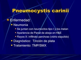 Pneumocystis carinii Enfermedad: Neumonía Se juntan con neumocitos tipo I y los matan Apariencia de Panal de abeja en H&E Rayos X: infiltrato parchoso (vidrio espulido) Diagnóstico:  Tinción de plata Tratamiento: TMP/SMX 