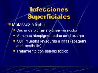 Infecciones Superficiales Malassezia furfur: Causa de pitiriasis o tinea versicolor Manchas hipopigmentadas en el cuerpo KOH muestra levaduras e hifas (spagethi and meatballs) Tratamiento con selenio tópico 