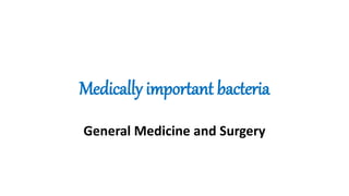 Medically important bacteria
General Medicine and Surgery
 