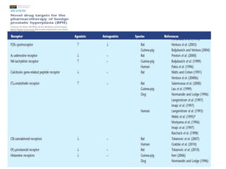 Medical management of bph | PPTX