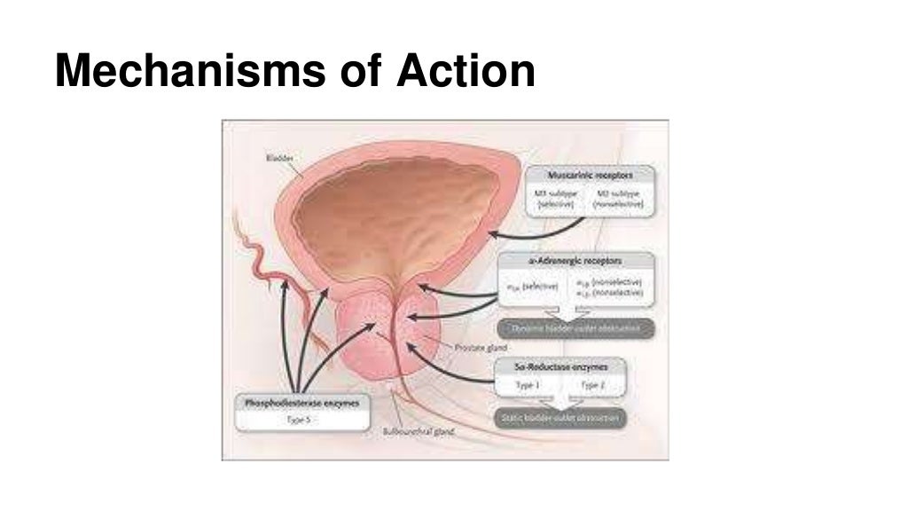 Medical management of bph