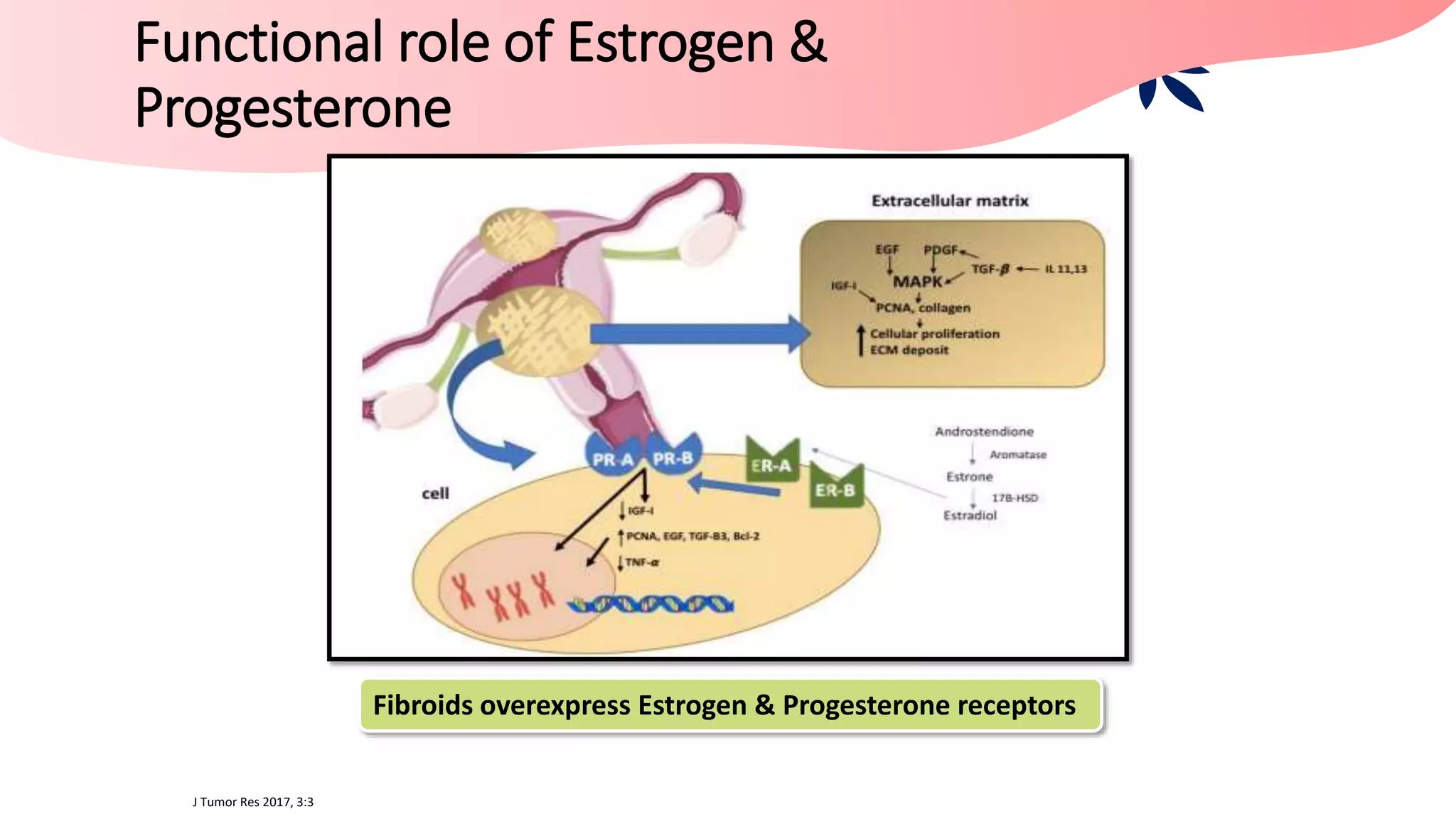 Medical Management of Fibroids | PPTX