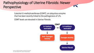 Medical Management of Fibroids | PPTX