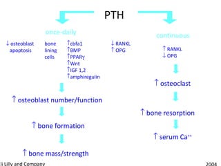 Medical management of osteoporosis | PPT