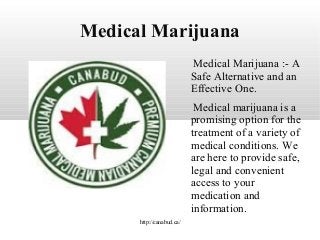 Medical Marijuana
Medical Marijuana :- A
Safe Alternative and an
Effective One.
Medical marijuana is a
promising option for the
treatment of a variety of
medical conditions. We
are here to provide safe,
legal and convenient
access to your
medication and
information.
http://canabud.ca/

 