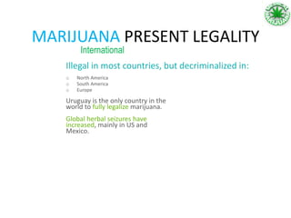 MARIJUANA PRESENT LEGALITY
International
o North America
o South America
o Europe
Illegal in most countries, but decriminalized in:
Uruguay is the only country in the
world to fully legalize marijuana.
Global herbal seizures have
increased, mainly in US and
Mexico.
 
