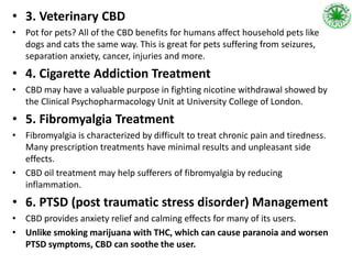 • 3. Veterinary CBD
• Pot for pets? All of the CBD benefits for humans affect household pets like
dogs and cats the same way. This is great for pets suffering from seizures,
separation anxiety, cancer, injuries and more.
• 4. Cigarette Addiction Treatment
• CBD may have a valuable purpose in fighting nicotine withdrawal showed by
the Clinical Psychopharmacology Unit at University College of London.
• 5. Fibromyalgia Treatment
• Fibromyalgia is characterized by difficult to treat chronic pain and tiredness.
Many prescription treatments have minimal results and unpleasant side
effects.
• CBD oil treatment may help sufferers of fibromyalgia by reducing
inflammation.
• 6. PTSD (post traumatic stress disorder) Management
• CBD provides anxiety relief and calming effects for many of its users.
• Unlike smoking marijuana with THC, which can cause paranoia and worsen
PTSD symptoms, CBD can soothe the user.
 