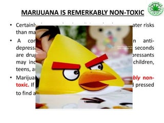 MARIJUANA IS REMERKABLY NON-TOXIC
• Certainly there are legal medicines that have greater risks
than marijuana.
• A commercial for Cymbalta—a common anti-
depressant—and roughly half of the nearly 90 seconds
are drug warnings, one of which warns antidepressants
may increase the risk of suicidal thoughts in children,
teens, and young adults.
• Marijuana is not only non-toxic—but remarkably non-
toxic. If you look in the literature, you’ll be hard pressed
to find a death caused by marijuana.
 